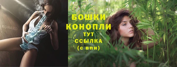 не бодяженный Новодвинск