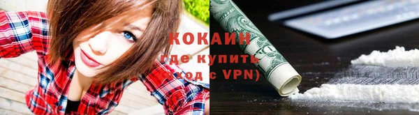 не бодяженный Новодвинск