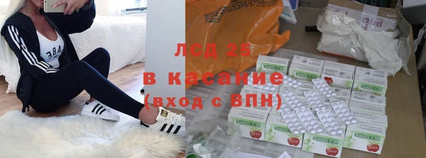 прущие грибы Нягань
