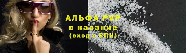 ECSTASY Новозыбков