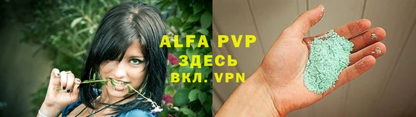 прущие грибы Нягань