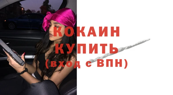 прущие грибы Нягань