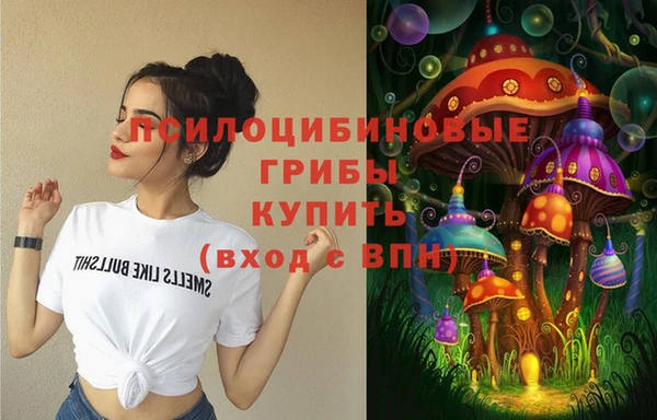 стаф Новокубанск