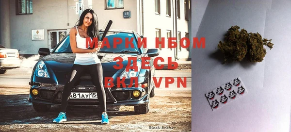 прущие грибы Нягань