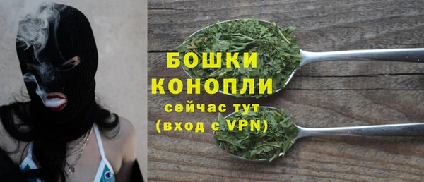 стаф Новокубанск