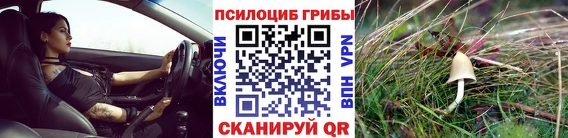 Псилоцибиновые грибы ЛСД  MEGA маркетплейс  Боровск  закладки 