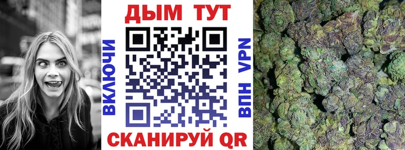 МЕГА как войти  Боровск  Шишки марихуана OG Kush 